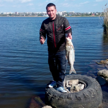 Андрій Коваленко, фото